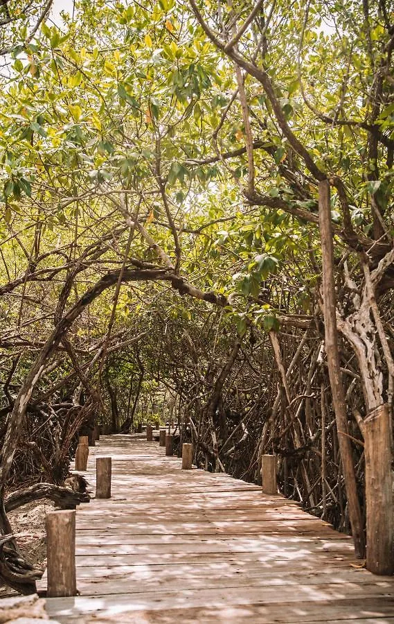 Lüks kamp alanı Uman Glamping & Cenote Tulum Otel