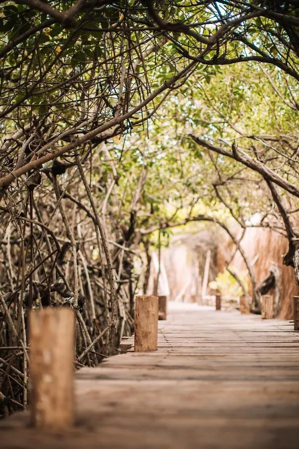 Lüks kamp alanı Uman Glamping & Cenote Tulum Otel