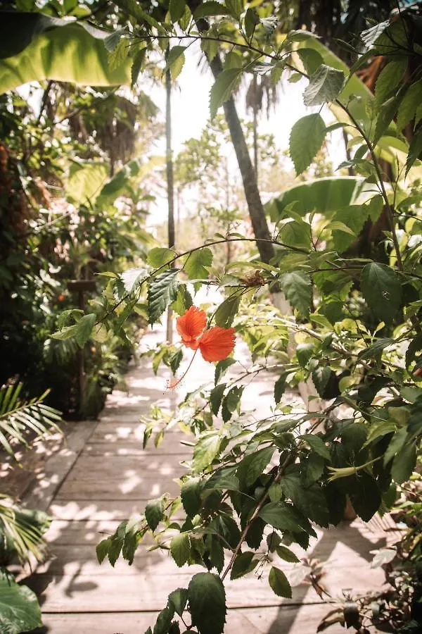 Lüks kamp alanı Uman Glamping & Cenote Tulum Otel