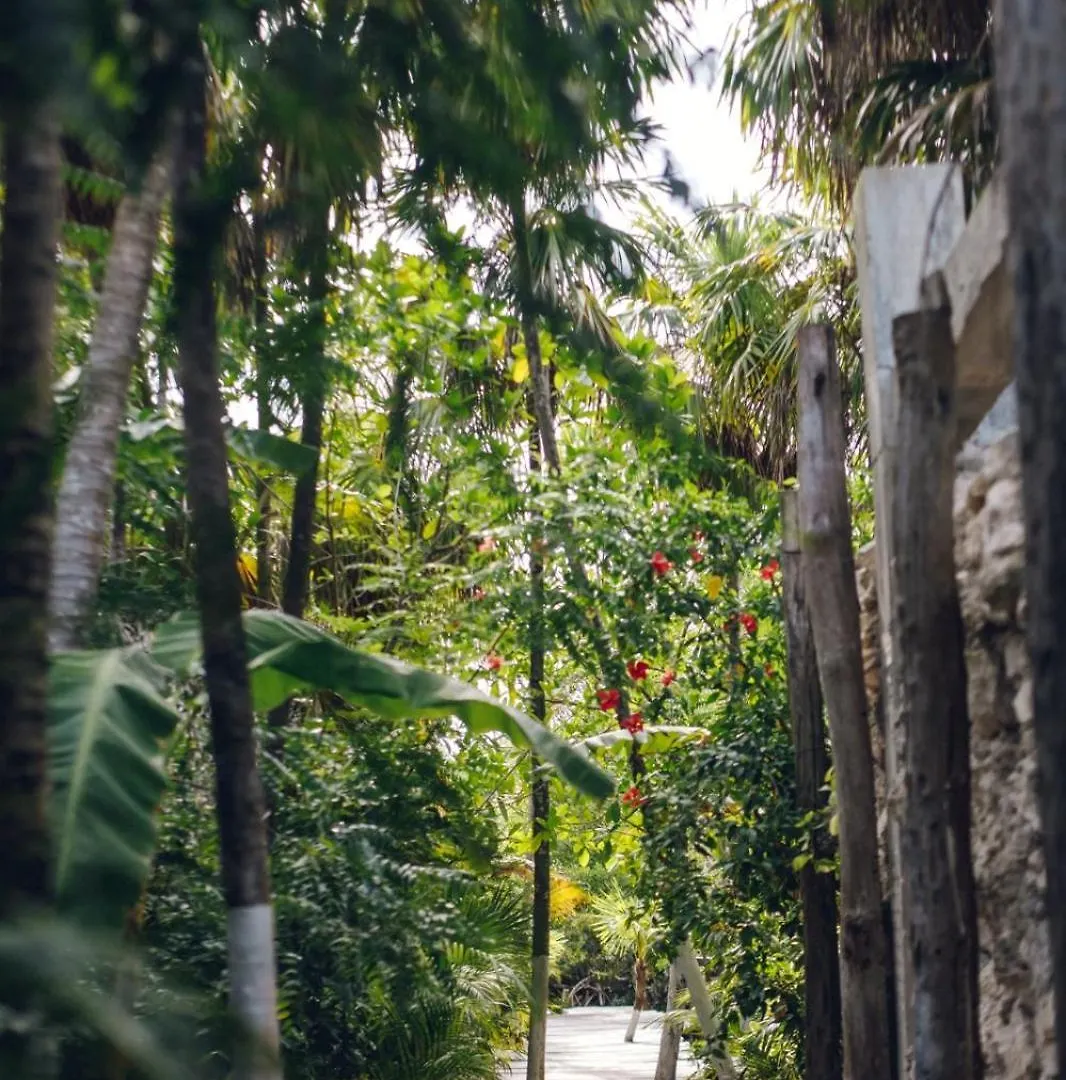 Luxury tent Uman Glamping & Cenote Tulum Hotel